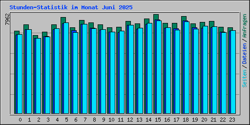 Stunden-Statistik im Monat Juni 2025