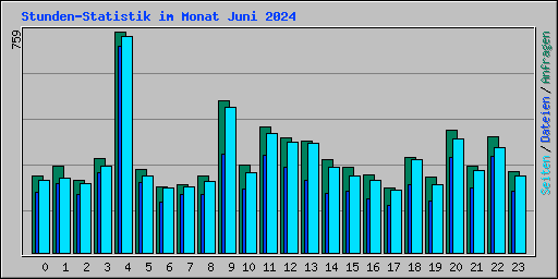 Stunden-Statistik im Monat Juni 2024